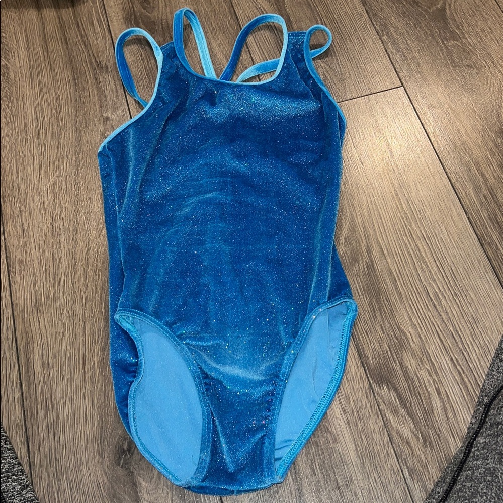 Motionwear Sparkly Blue Leotard
